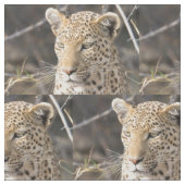 Leopard portret stof (Close Up)
