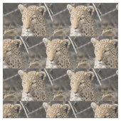 Leopard portret stof (Swatch)