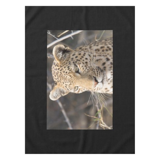 Leopard portret tafelkleed (Voorkant)