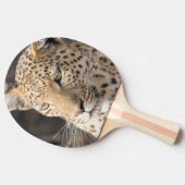 Leopard portret tafeltennisbatje (Zijkant)