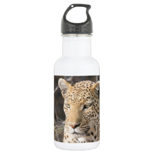 Leopard portret waterfles