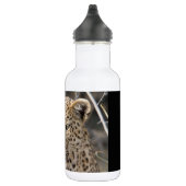 Leopard portret waterfles (Rechts)