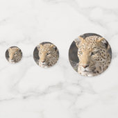 Leopard-portretfoto Confetti (Voorkanten)