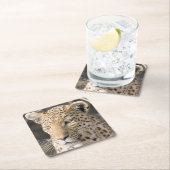 Leopard-portretfoto Kartonnen Onderzetters (Insitu)