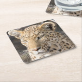 Leopard-portretfoto Kartonnen Onderzetters (Schuin)