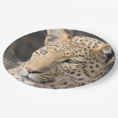 Leopard-portretfoto Papieren Bordje (Gekanteld)