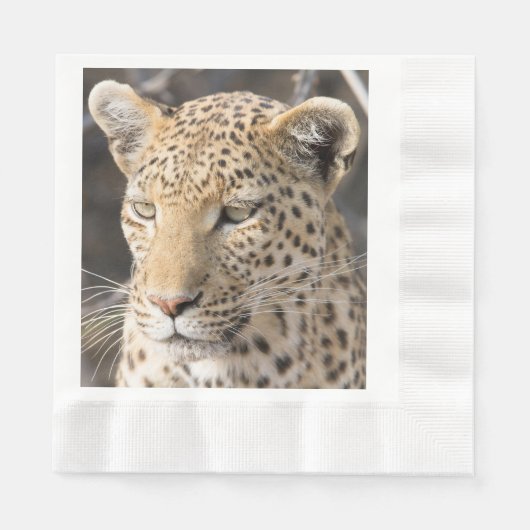 Leopard-portretfoto Servet (Voorkant)