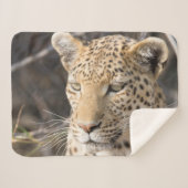 Leopard-portretfoto Sherpa Deken (Voorkant (horizontaal))
