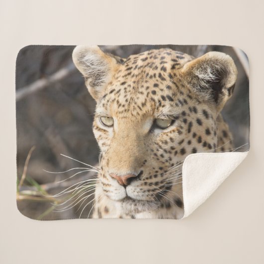 Leopard-portretfoto Sherpa Deken (Voorkant (horizontaal))