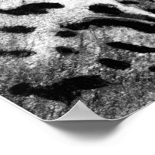 Leopard Poster (Hoek)