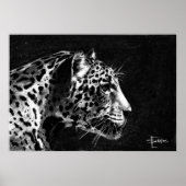 Leopard Poster (Voorkant)