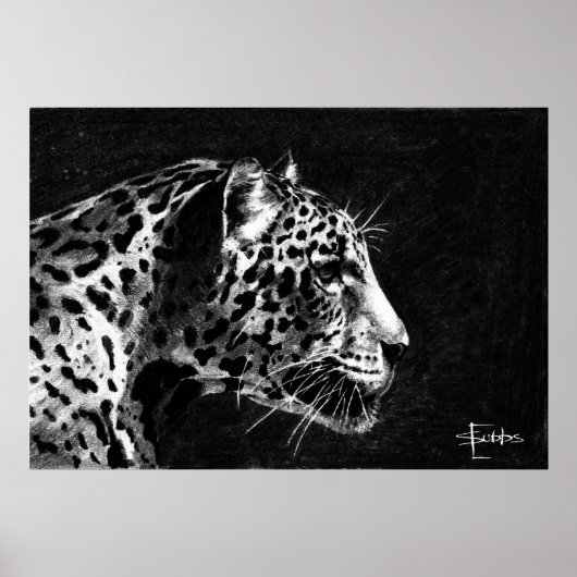 Leopard Poster (Voorkant)