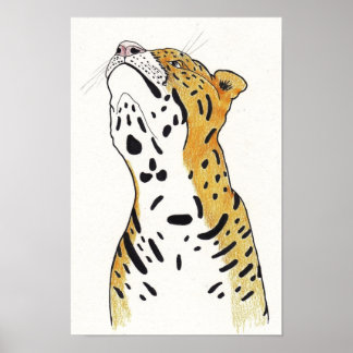 Leopard Poster