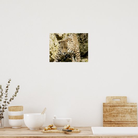 Leopard Poster (Keuken)