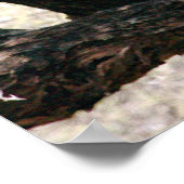 Leopard Poster (Hoek)