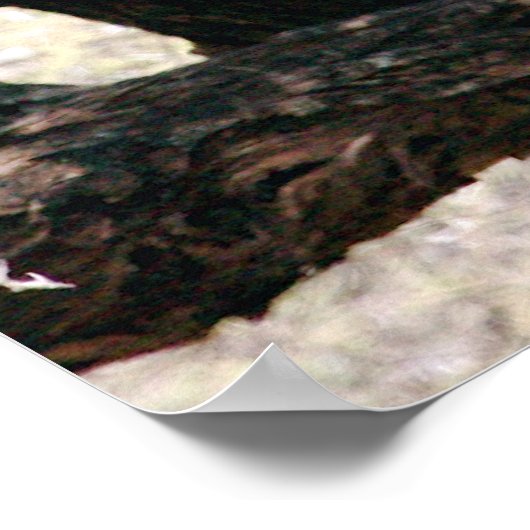 Leopard Poster (Hoek)