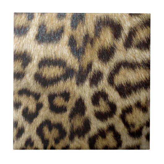 Leopard Print Tegeltje (Voorkant)