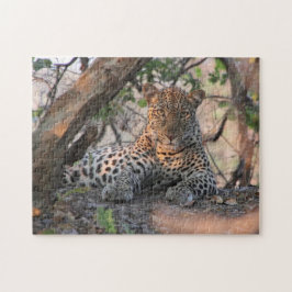 Leopard Puzzle Legpuzzel