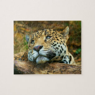 Leopard Puzzle Legpuzzel