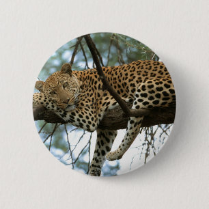 Leopard Resting in Tree Ronde Button 5,7 Cm
