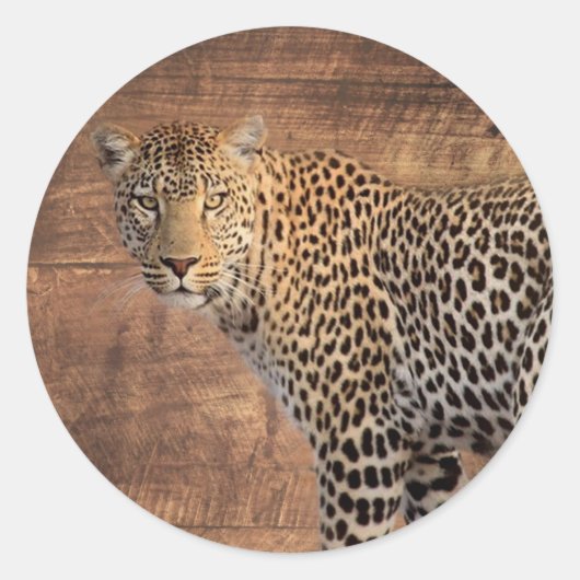 Leopard Ronde Sticker (Voorkant)
