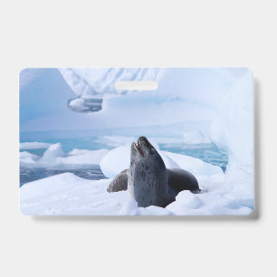 Leopard Seal Badge