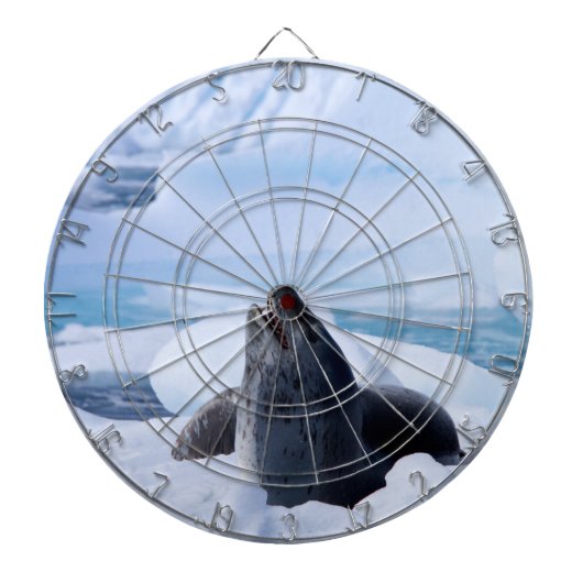 Leopard Seal Dartbord (Voorkant)