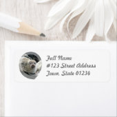 Leopard Seal Retouradres Mailing Label (Insitu)