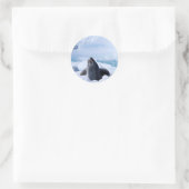 Leopard Seal Ronde Sticker (Tas)