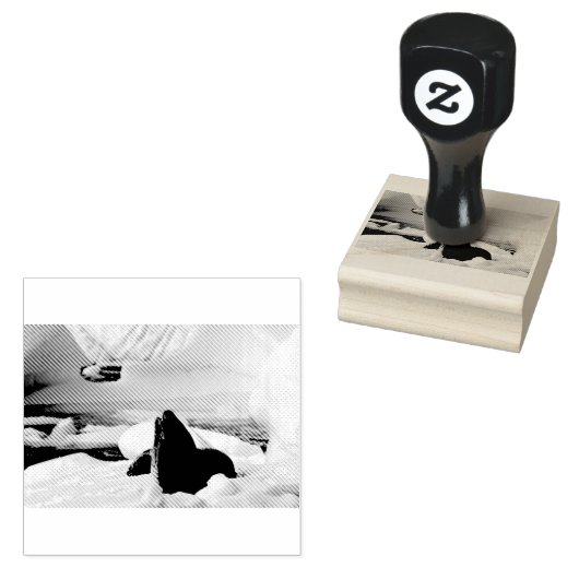 Leopard Seal Rubberstempel (Gestempeld)