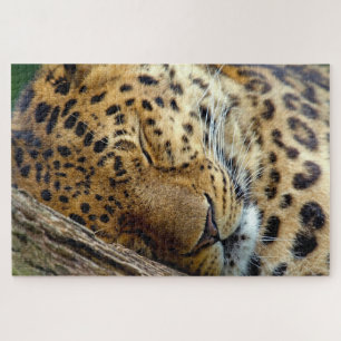 Leopard slaapt in een logboek legpuzzel