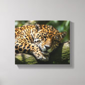 leopard sleeping canvas wall art (Voorkant)
