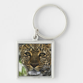 Leopard Sleutelhanger
