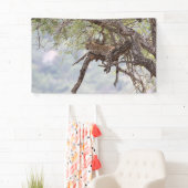 Leopard Spandoek (Insitu)