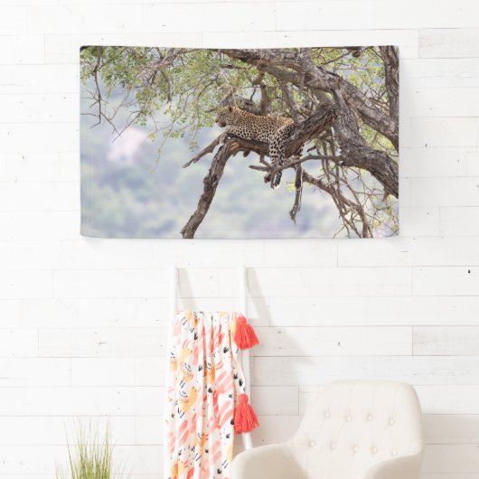 Leopard Spandoek (Insitu)