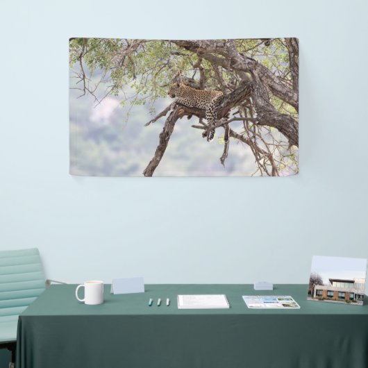 Leopard Spandoek (Beurs)