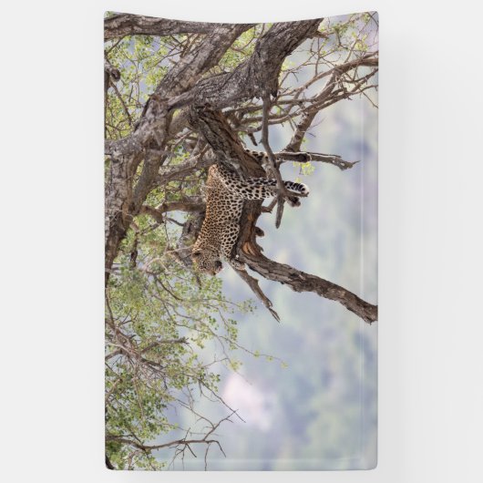 Leopard Spandoek (Verticaal)