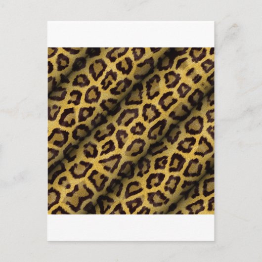 Leopard Spots Briefkaart (Voorkant)