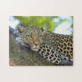 Leopard Spots Legpuzzel (Horizontaal)