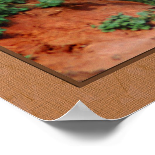 Leopard Stalking Closeup Fotografie Poster (Hoek)