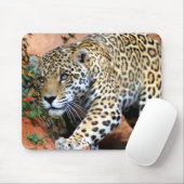Leopard Stalking Macro Muismat (Met muis)