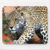 Leopard Stalking Macro Muismat (Voorkant)