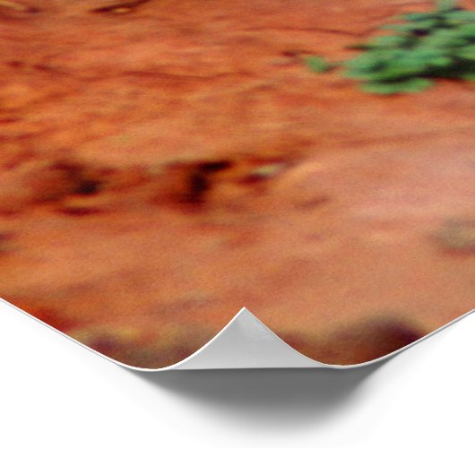 Leopard Stalking Macro Poster (Hoek)