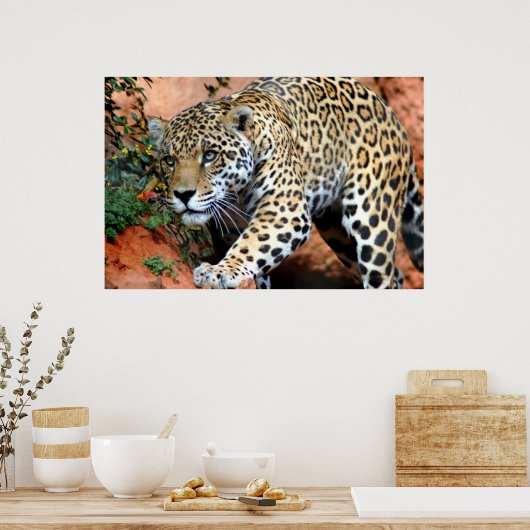 Leopard Stalking Macro Poster (Keuken)