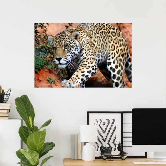 Leopard Stalking Macro Poster (Thuiskantoor)