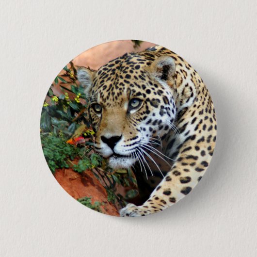 Leopard Stalking Macro Ronde Button 5,7 Cm (Voorkant)