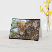 Leopard Stare Kaart (Gele Bloem)