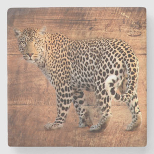 Leopard Stenen Onderzetter