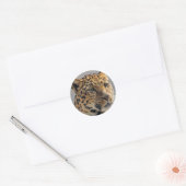 Leopard Sticker (Envelop)