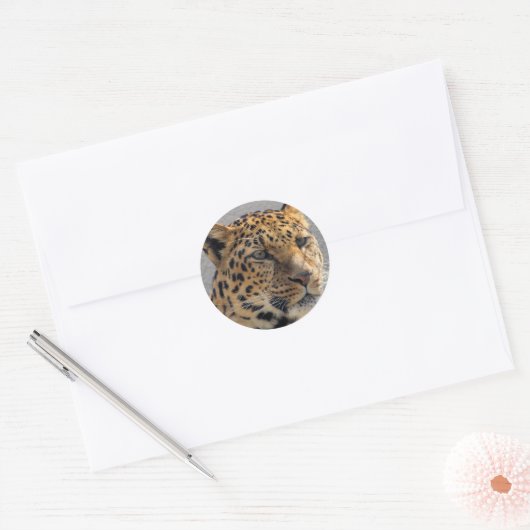 Leopard Sticker (Envelop)